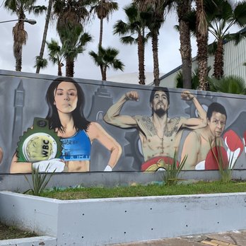 Auditorio Fausto Gutiérrez Moreno - Famous Mexican boxers - Performing Arts Near Me - Tijuana, BCN