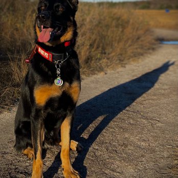 Hope Heald K9 - Pet Training Near Me Hope Heald K9 - Pet Training Near Me