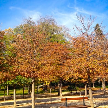Estanque Grande del Buen Retiro - Parks Near Me - Madrid, M