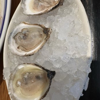 Hudson House - Oysters - Seafood Near Me - Addison, Texas