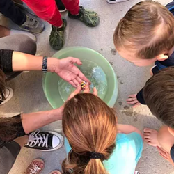 Toluca Playhouse Preschool