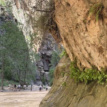Zion National Park - September 2, 2026 - The start of the narrows. - Hiking Near Me - Springdale, Utah Zion National Park - September 2, 2026 - The start of the narrows. - Hiking Near Me - Springdale, Utah