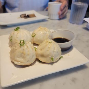Shanghai Fresh - A28 - pan fried dumplings with pork - Shanghainese Near Me - Cambridge, Massachusetts