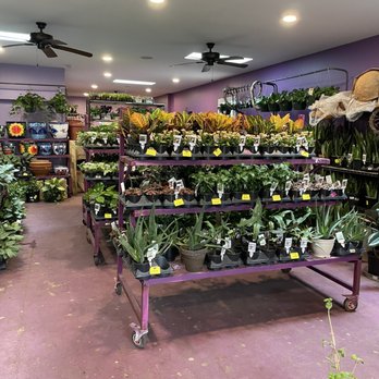 Old Town Gardens - Interior - Nurseries & Gardening Near Me - Chicago, Illinois Old Town Gardens - Interior - Nurseries & Gardening Near Me - Chicago, Illinois