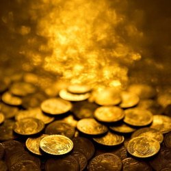 Master of Coin Bookkeeping & Consulting
