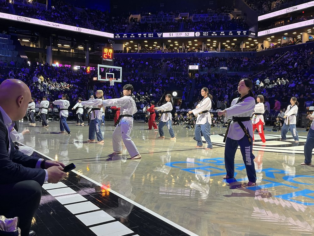 Triumph Tae Kwon DO Logo