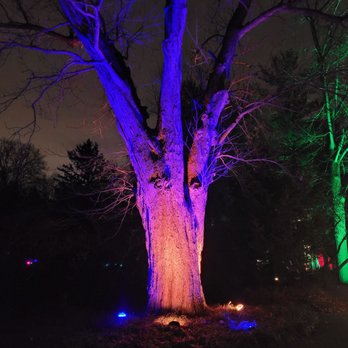Winterlights at Newfields - Festivals Near Me - Indianapolis, Indiana Winterlights at Newfields - Festivals Near Me - Indianapolis, Indiana