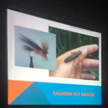 Dallas Flyfishers - Speaker talked about the salmon fly hatch tonight. - Fishing Near Me - Dallas, Texas