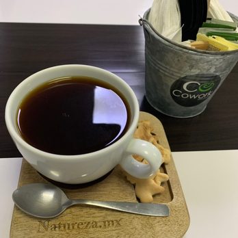 Cowork Natureza - Medium Roast Coffee + Animal Crackers - Shared Office Spaces Near Me - Puerto Vallarta, JAL