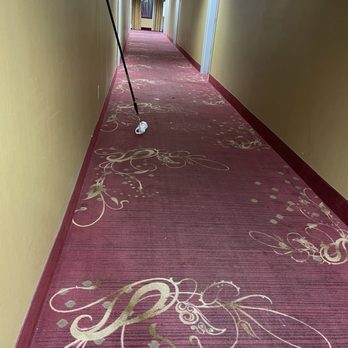 Hampton Inn Ft. Wayne/Dupont Road - Hallway - Hotels Near Me - Fort Wayne, Indiana Hampton Inn Ft. Wayne/Dupont Road - Hallway - Hotels Near Me - Fort Wayne, Indiana