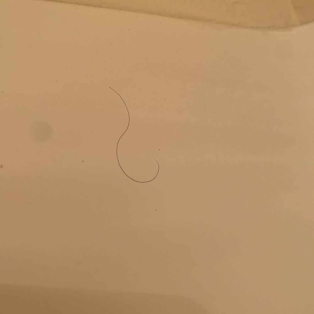 Someone else's hair in the shower Someone else's hair in the shower