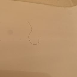 Someone else's hair in the shower Someone else's hair in the shower