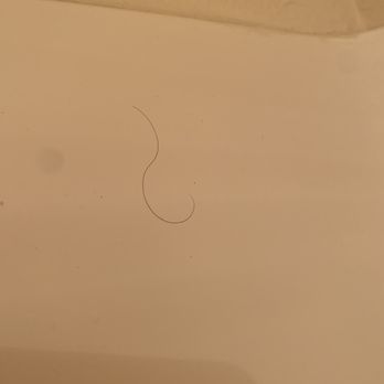 Nisqually Lodge - Someone else's hair in the shower - Hotels Near Me - Ashford, Washington Nisqually Lodge - Someone else's hair in the shower - Hotels Near Me - Ashford, Washington