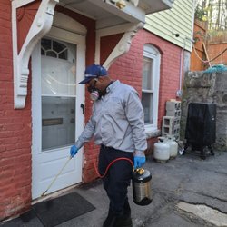 Cease Pest Control Service - Treating cracks and crevices, where insects hide.