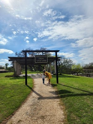 Arrowhead Creek Vineyards by null