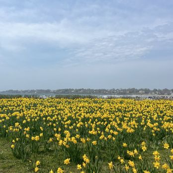 Dunlap Wheeler Park - Dunlap Wheeler Park - Parks Near Me - Middletown, Rhode Island