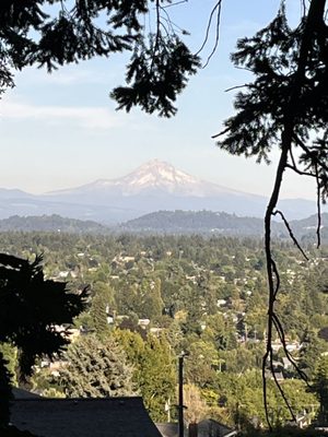 Mt. Tabor Picnic A by null