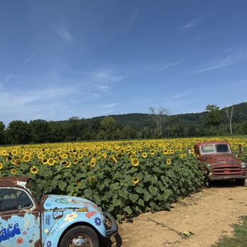 Von Thun Farms - Attraction Farms Near Me - Washington, New Jersey