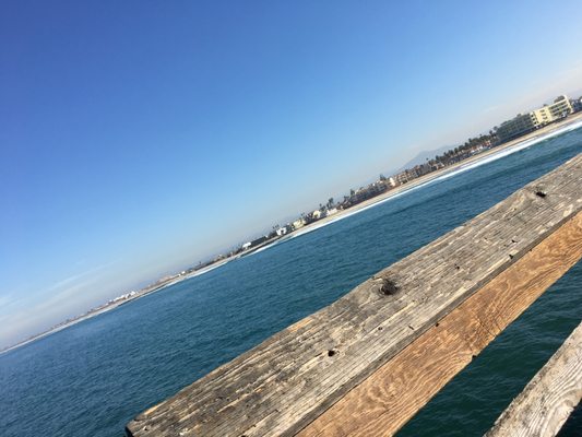 The Tin Fish by null