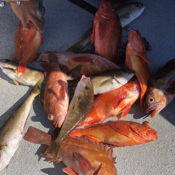 Channel Islands Sportfishing - Fishing Near Me - Oxnard, California Channel Islands Sportfishing - Fishing Near Me - Oxnard, California