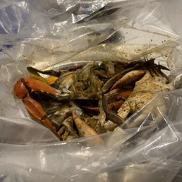 Blue Crab