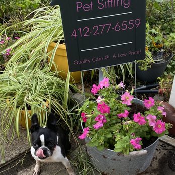 Home Instead Pet Sitting - Pet Boarding Near Me - Pittsburgh, Pennsylvania