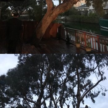 Encinal Tree Service - Tree Services Near Me - Redwood City, California Encinal Tree Service - Tree Services Near Me - Redwood City, California