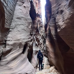 Wire Pass Trailhead