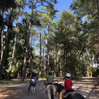 Lawton Stables - Horse Boarding Near Me - Hilton Head Island, South Carolina