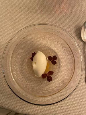 Statholdergaarden by null