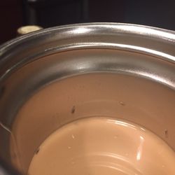 ampm - There are four bugs in this picture but there were more.