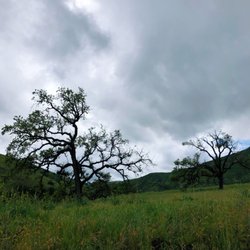 Lady Face Mountain - Springtime. April 2020