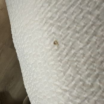 La Quinta Inn by Wyndham Phoenix Thomas Road - Cigarette burns on bed. - Hotels Near Me - Phoenix, Arizona