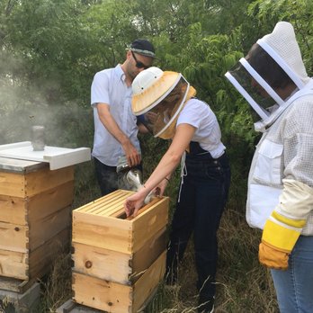 Two Hives Honey - Tours Near Me - Manor, Texas