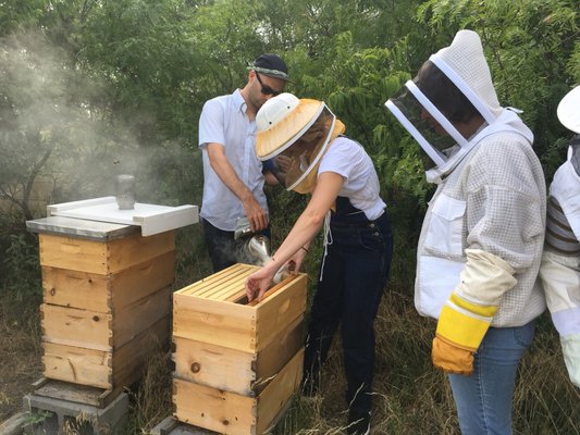 Two Hives Honey by null Two Hives Honey by null