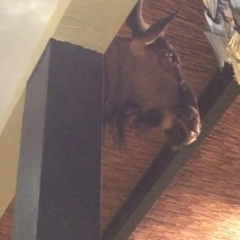 the Eldo - Yo mama!  Ha!  I'm just playing. - Sports Bars Near Me - Long Beach, California