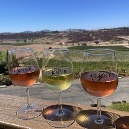 View from the winery