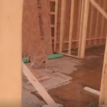Schumacher Homes - Raleigh-Durham - the inside of a home under construction - General Contractors Near Me - Benson, North Carolina Schumacher Homes - Raleigh-Durham - the inside of a home under construction - General Contractors Near Me - Benson, North Carolina