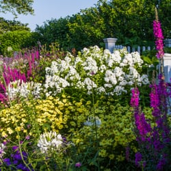 Gardens by Romi - Perennial Gardens