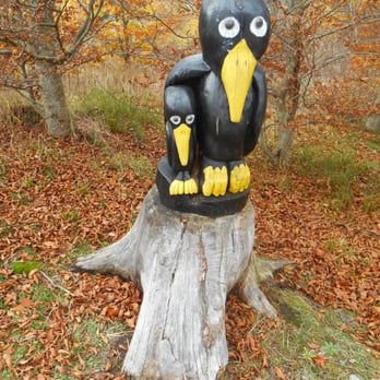 Kucky's Vogelwelt - Parks Near Me - Lenzkirch, BW
