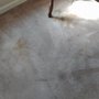 Photo of Bella Custom Cleaning