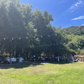 Picchetti Winery - Wineries Near Me - Cupertino, California