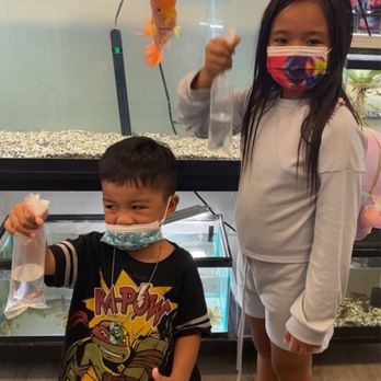 MastahBetta Fish Shop - Our kids got to keep their fish that they caught from the Free Fishing Game. Thank you Mastah Betta. - Local Fish Stores Near Me - Honolulu, Hawaii MastahBetta Fish Shop - Our kids got to keep their fish that they caught from the Free Fishing Game. Thank you Mastah Betta. - Local Fish Stores Near Me - Honolulu, Hawaii