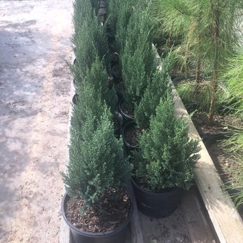 Garden City - Nurseries & Gardening Near Me - Belton, Texas