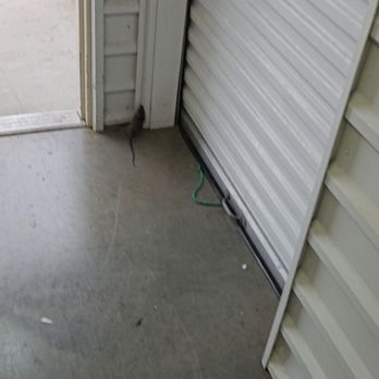 Extra Space Storage - Rat - Self Storage Near Me - Duncanville, Texas