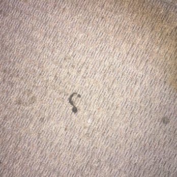 Casa Hermosa - Carpet needs replacing - Apartments Near Me - San Diego, California Casa Hermosa - Carpet needs replacing - Apartments Near Me - San Diego, California