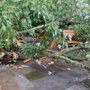 Photo of Southern End Tree Service