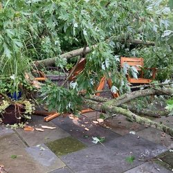 Southern End Tree Service