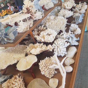 The Shell Shop - Arts & Crafts Near Me - Morro Bay, California The Shell Shop - Arts & Crafts Near Me - Morro Bay, California