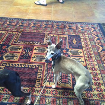 Au Bon Climat Winery - Our dogs are feel comfy there. - Wine Tasting Room Near Me - Santa Barbara, California Au Bon Climat Winery - Our dogs are feel comfy there. - Wine Tasting Room Near Me - Santa Barbara, California